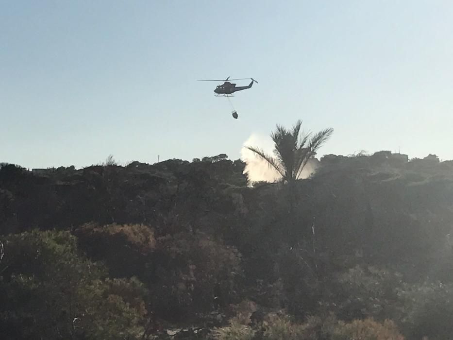 Incendio intencionado en Guardamar del Segura