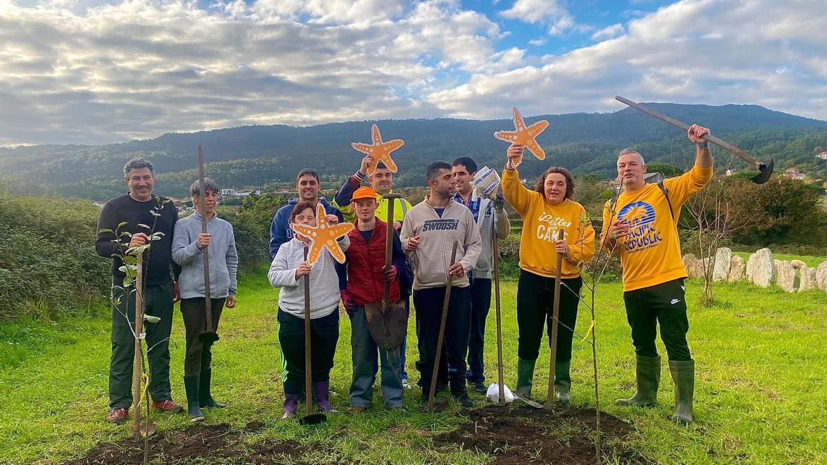 Participantes nunha das plantacións de maceiras.