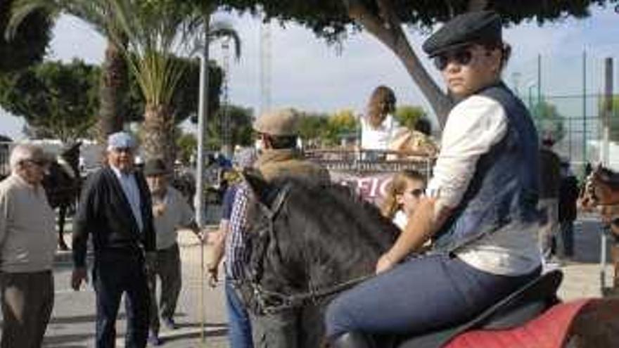 Un recorrido por la Vega con caballos y mulas