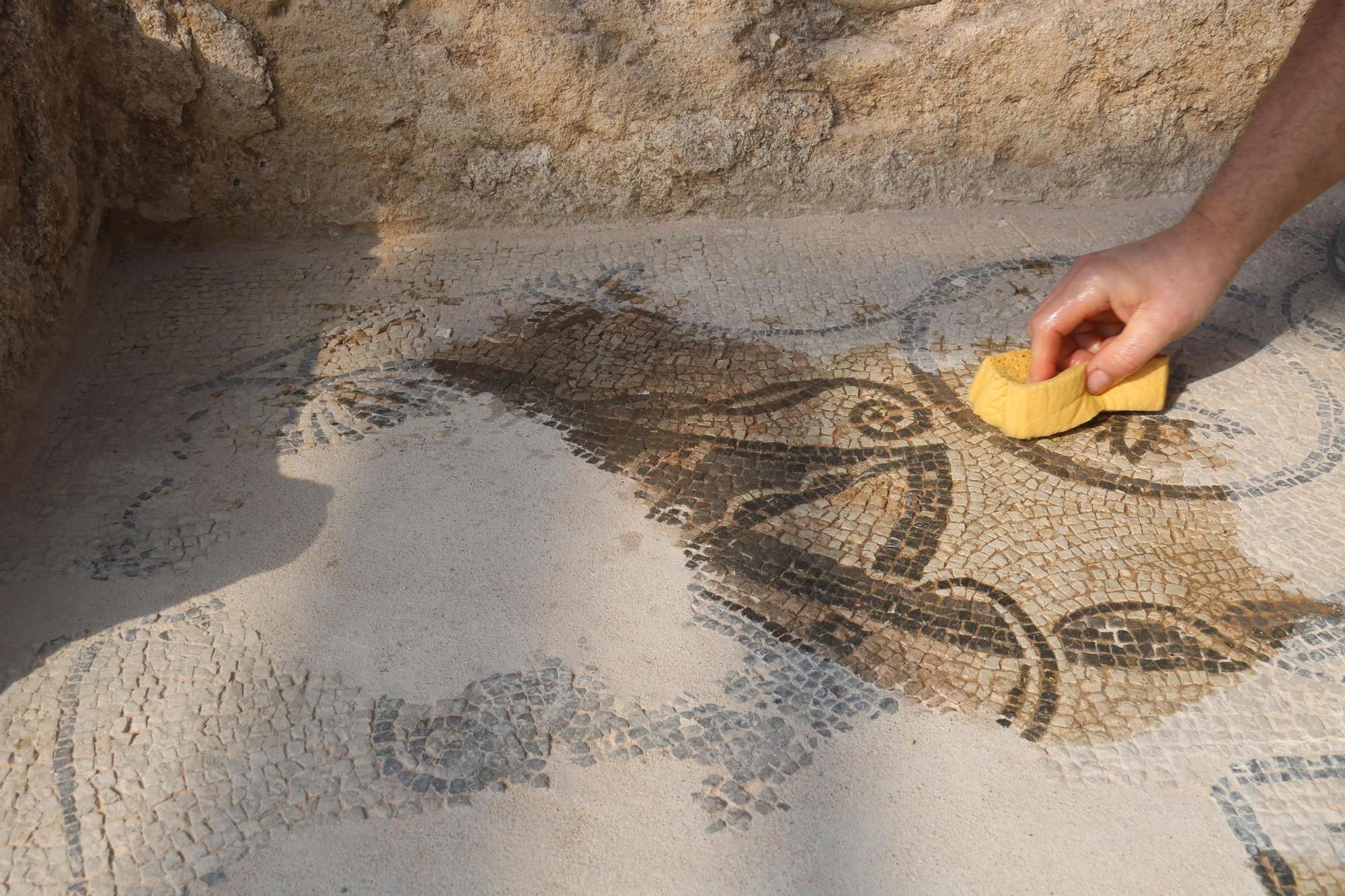 Els arqueòlegs descobreixen una zona vinculada a la producció d'oli a la vil·la romana de Sarrià de Ter