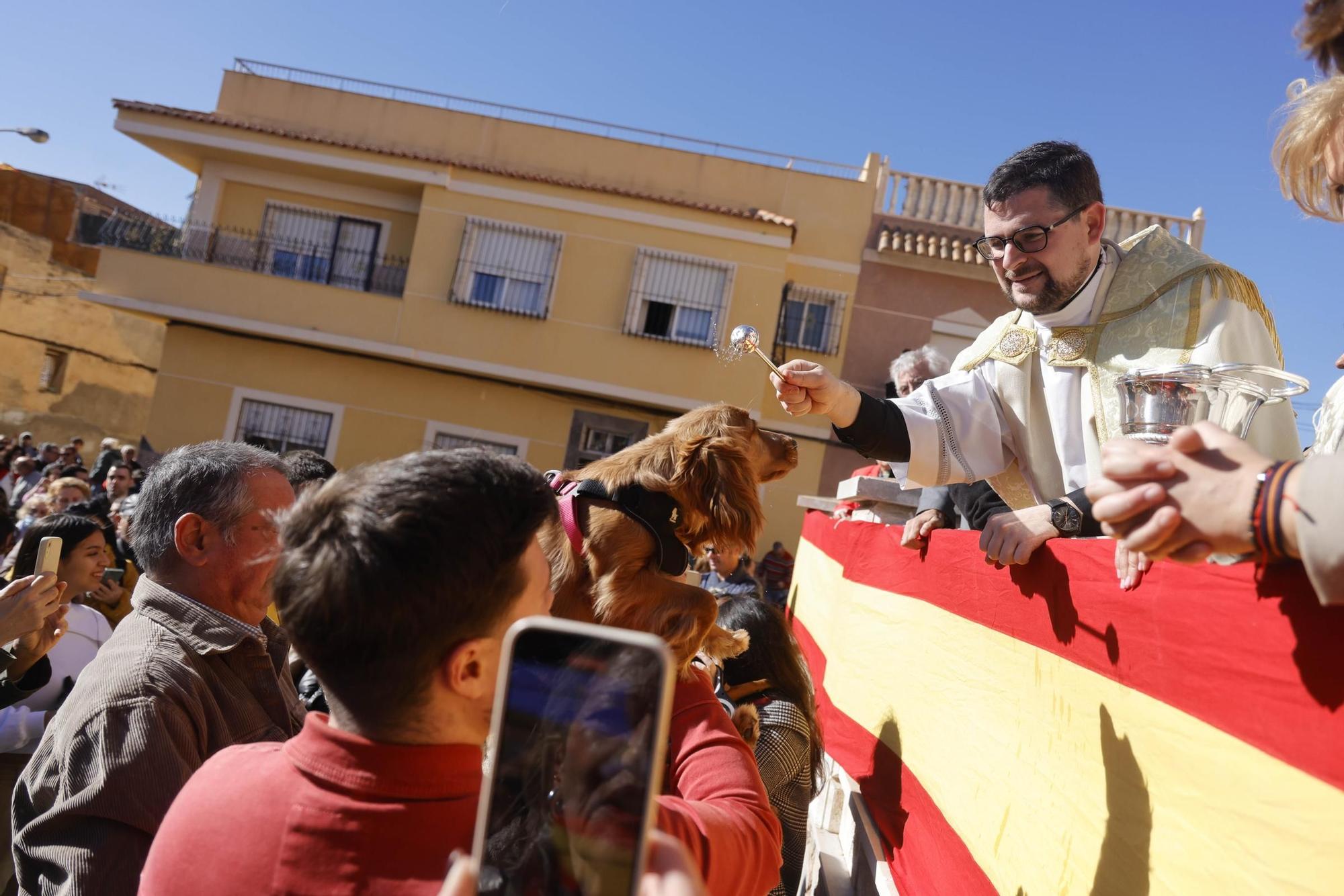 FOTOS: los mejores momentos de la bendición de animales por San Antón en Cartagena