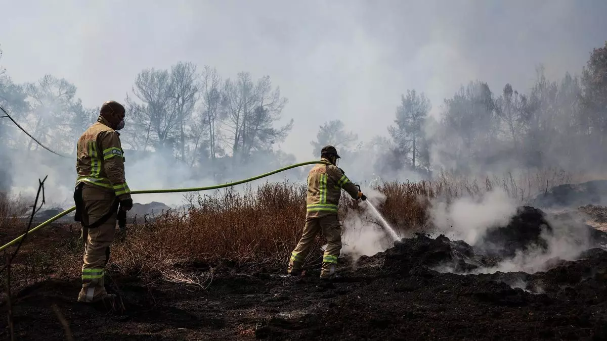 Israel da por controlado el gran incendio forestal en los montes que rodean Jerusalén