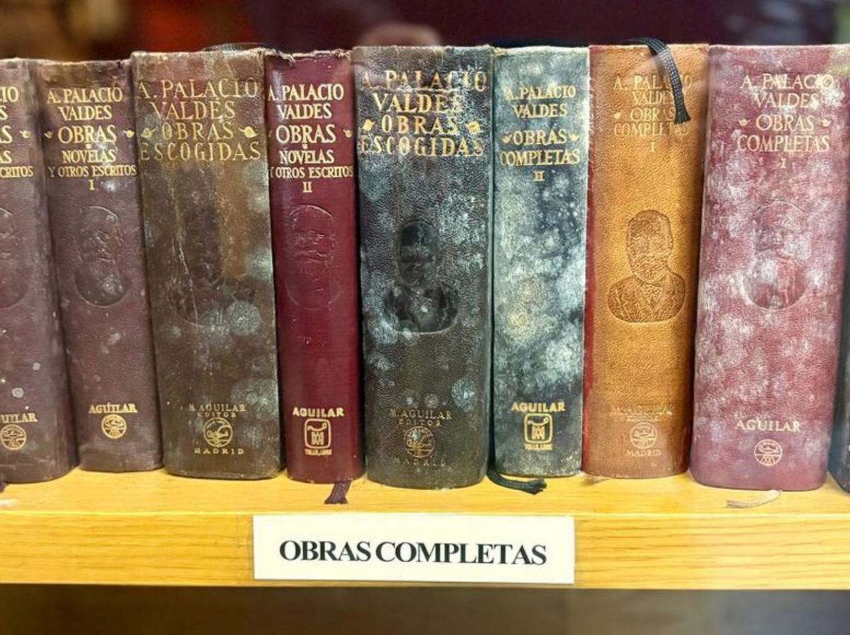 Los hongos hacen su trabajo. La casa natal de Armando Palacio Valdés lleva años cerrada. Los hongos han comenzado a colonizar los libros encuadernados en piel.