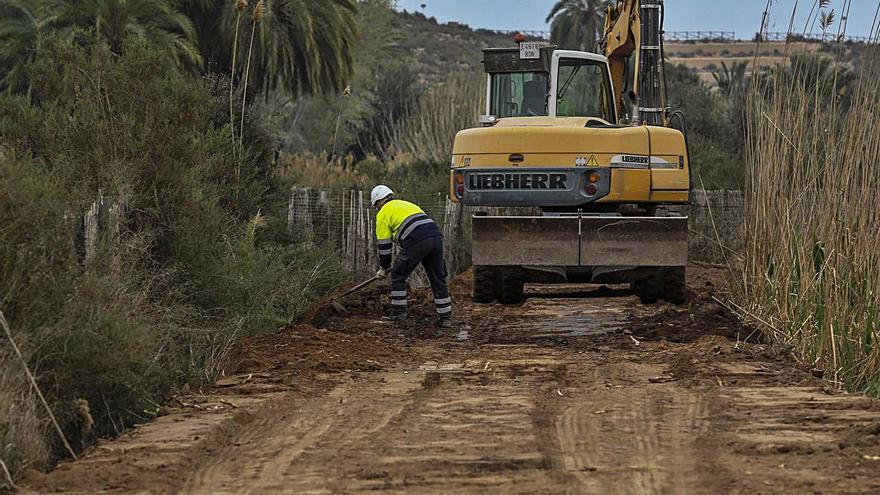 El paraje natural del Clot de Galvany está en obras para darle más profundidad a una de sus charcas y reducir el cañizo con el fin de albergar especies de patos. | ANTONIO AMORÓS