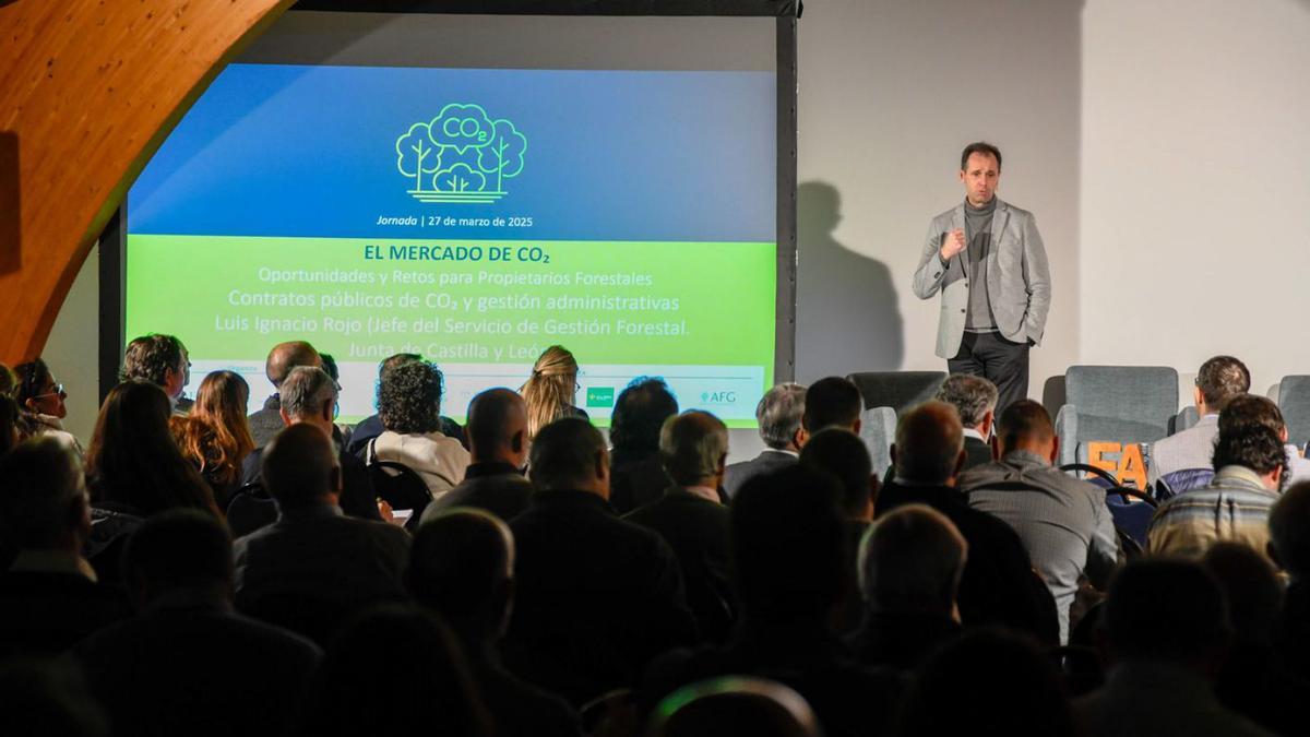 Un momento de la jornada organizada por la Federación de Asociaciones Forestales de Castilla y León | MIGUEL ÁNGEL LORENZO