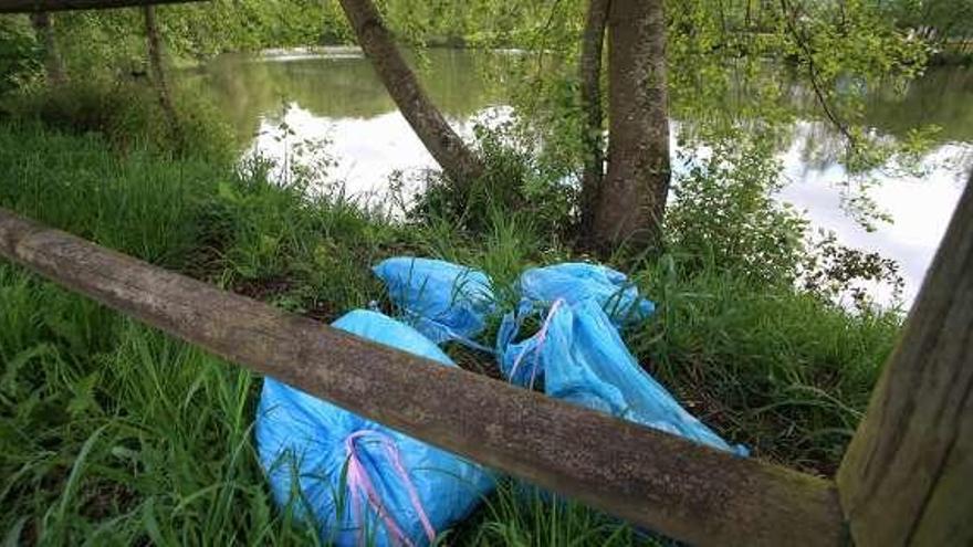 Algunas de las bolsas tiradas al lado del lago.  // Bernabé/Gutier