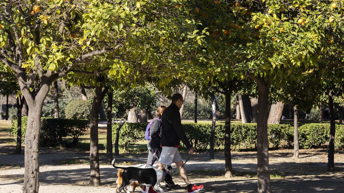 El Jardín del Turia es la zona verde más importante de València.