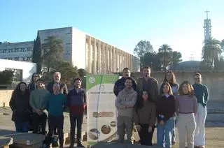 La Universidad de Córdoba desarrolla un vendaje antibacteriano con paja de trigo que acelera la curación de heridas