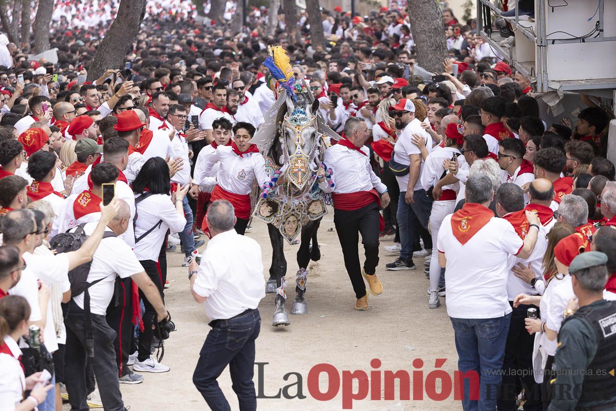 Así se ha vivido la carrera de Los Caballos del Vino en Caravaca