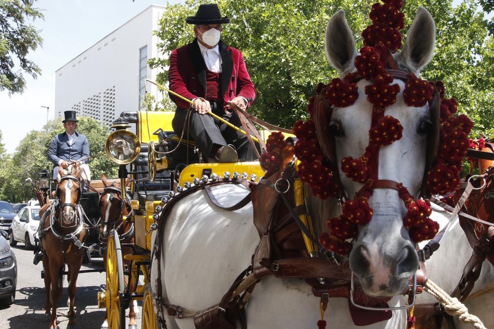 Miércoles de feria, caballistas y carruajes en María la Judía