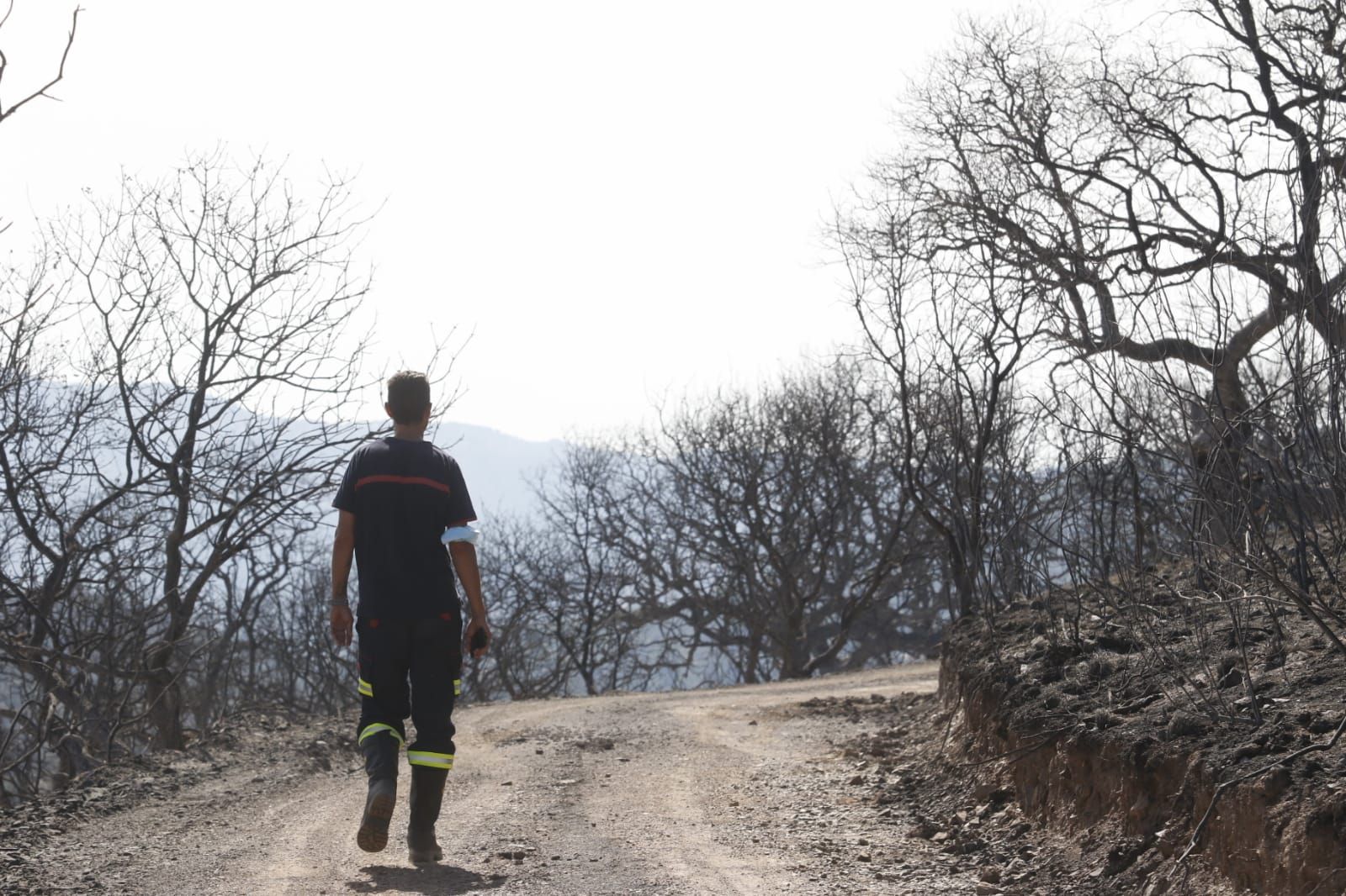 Estabilizado el incendio de Villaharta tras una madrugada de intenso trabajo