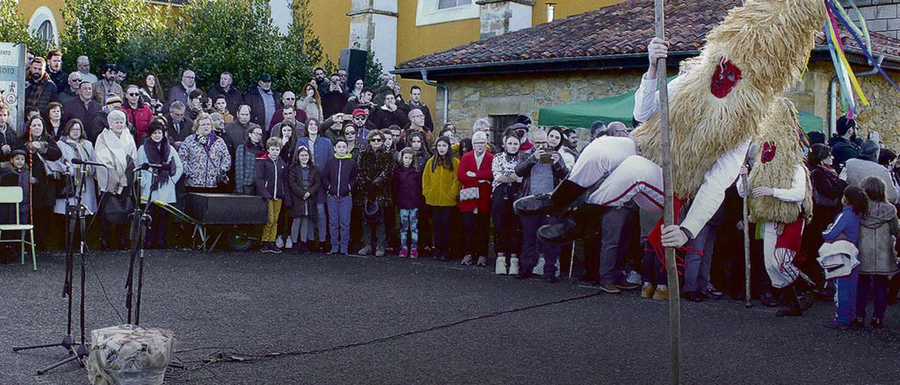 Un sidro realizando su peculiar salto, en Valdesoto.