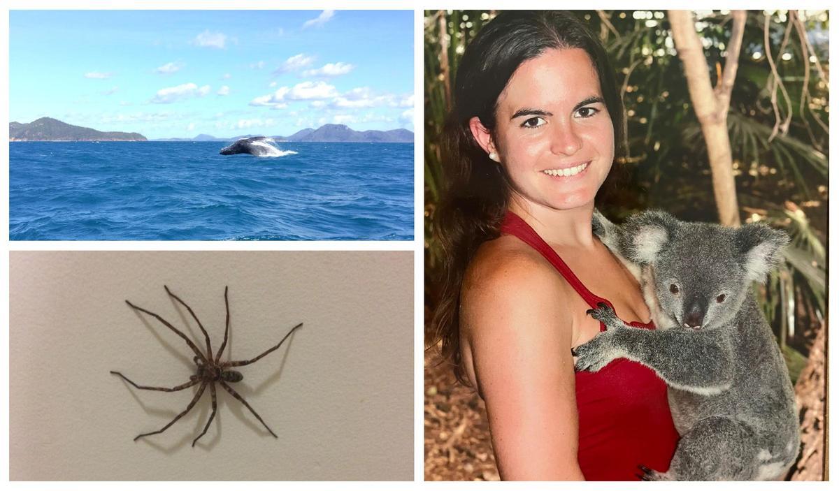 Imágenes tomadas por Núria de una ballena y una araña gigante en su casa; así como Núria con un koala (d).