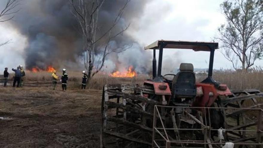 La regeneración atávica del fuego