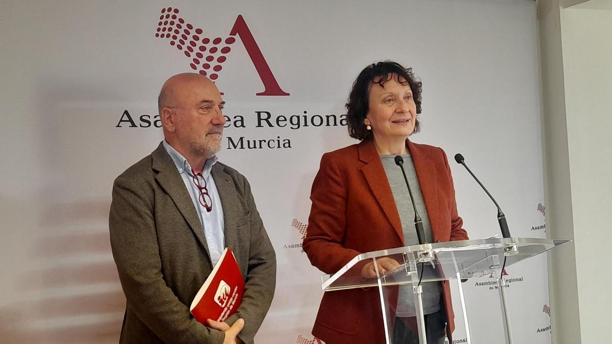 José Luis Álvarez-Castellanos, de IU, y María Marín, de Podemos, este martes en la Asamblea.