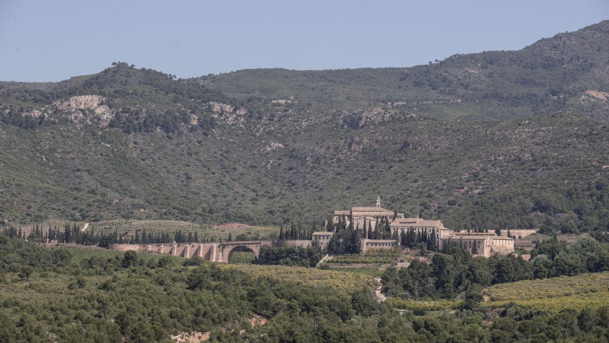 La Cartuja de Porta-Coeli desde el Mirador de la Pedrera.