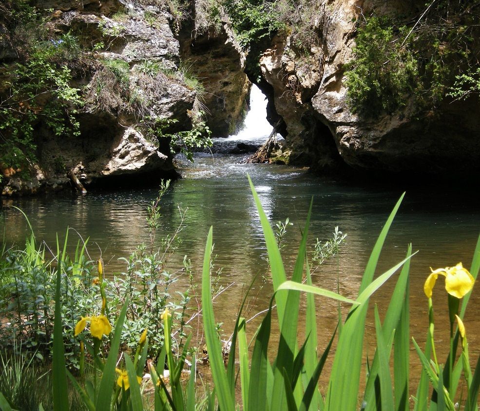 La cascada de Calomarde, también conocida como cascada Batida o del Molino Viejo, es un salto de 20 metros de alto en el transcurso del río Blanco.