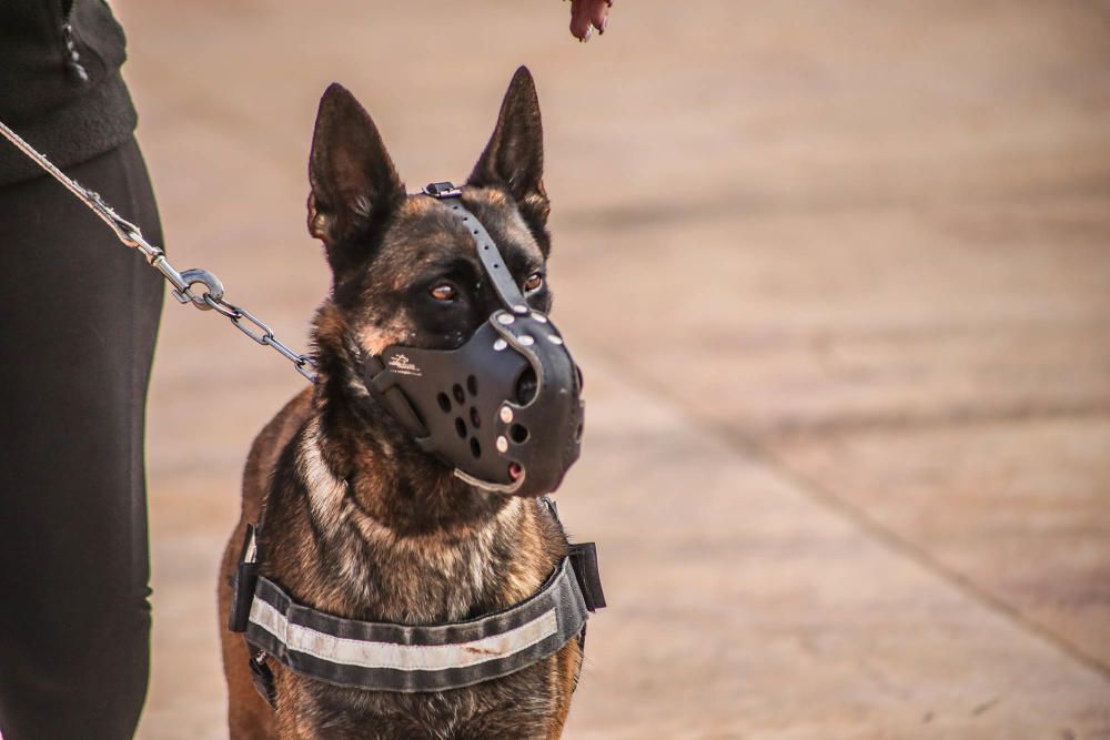 Exhibición policial en Granja de Rocamora