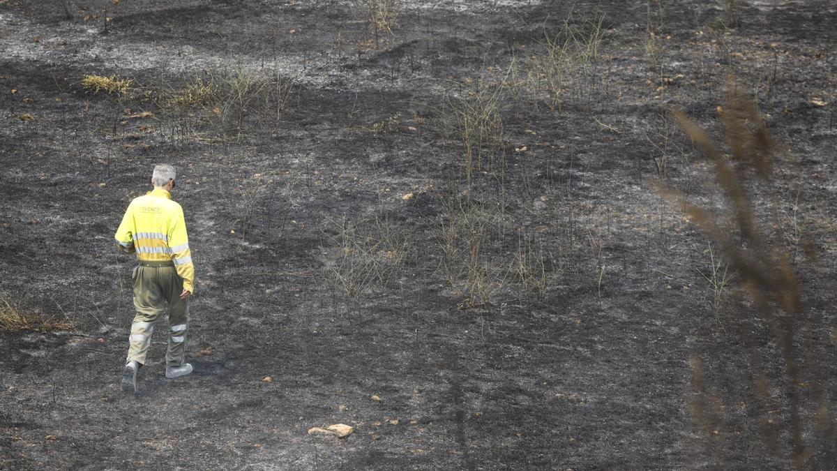 Un bombero camina por el área calcinada por el incendio forestal de Nonaspe, en Zaragoza
