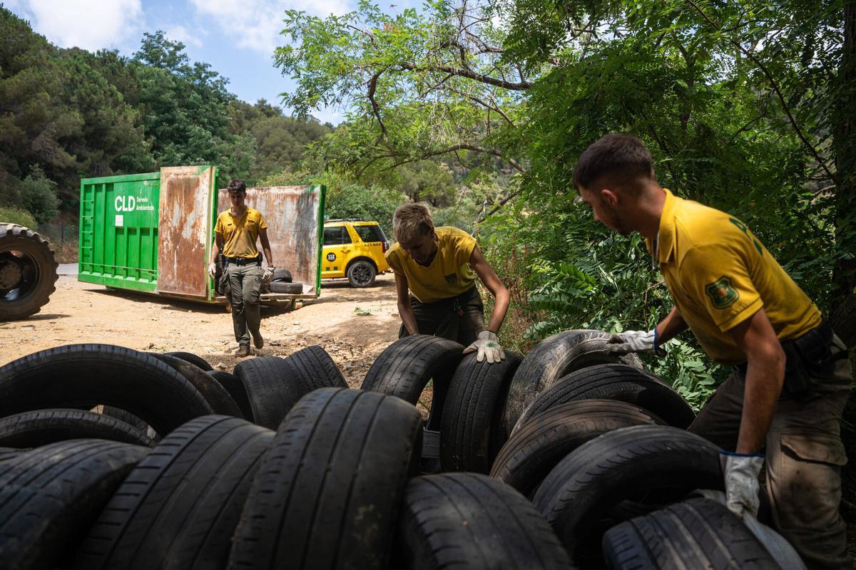 Recogida de neumáticos por parte de la Agrupación de Defensa Forestal, en colaboración con el Parque Natural de Collserola, el pasado mes de julio
