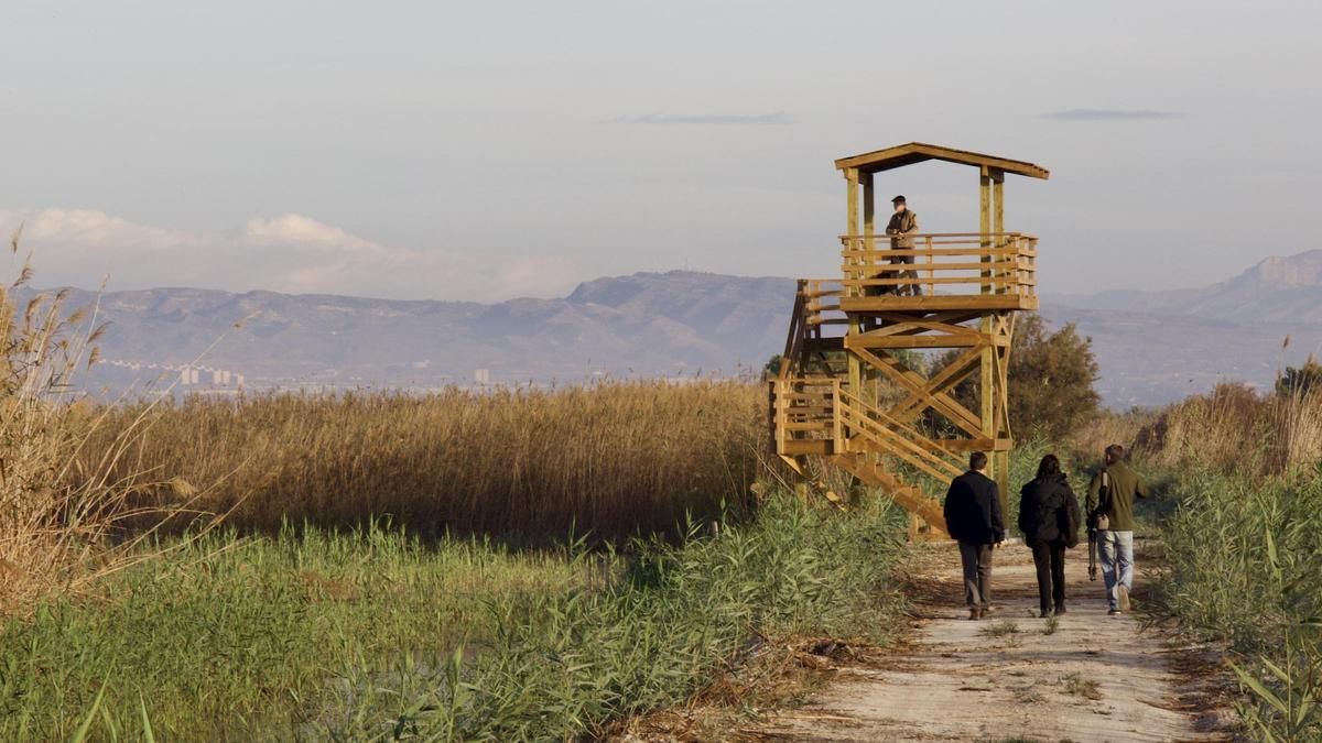 La nueva torre de vigilancia que ha incorporado el Parque Natural de El Hondo.