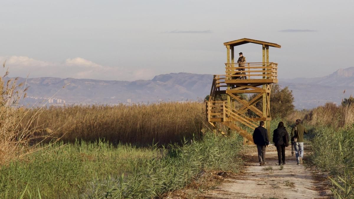 La  nueva torre de vigilancia que ha incorporado el Parque Natural de El Hondo.