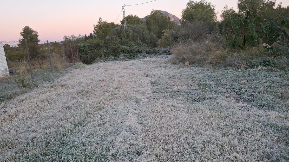 Un camí tenyit de blanc per la gelada i la rosada