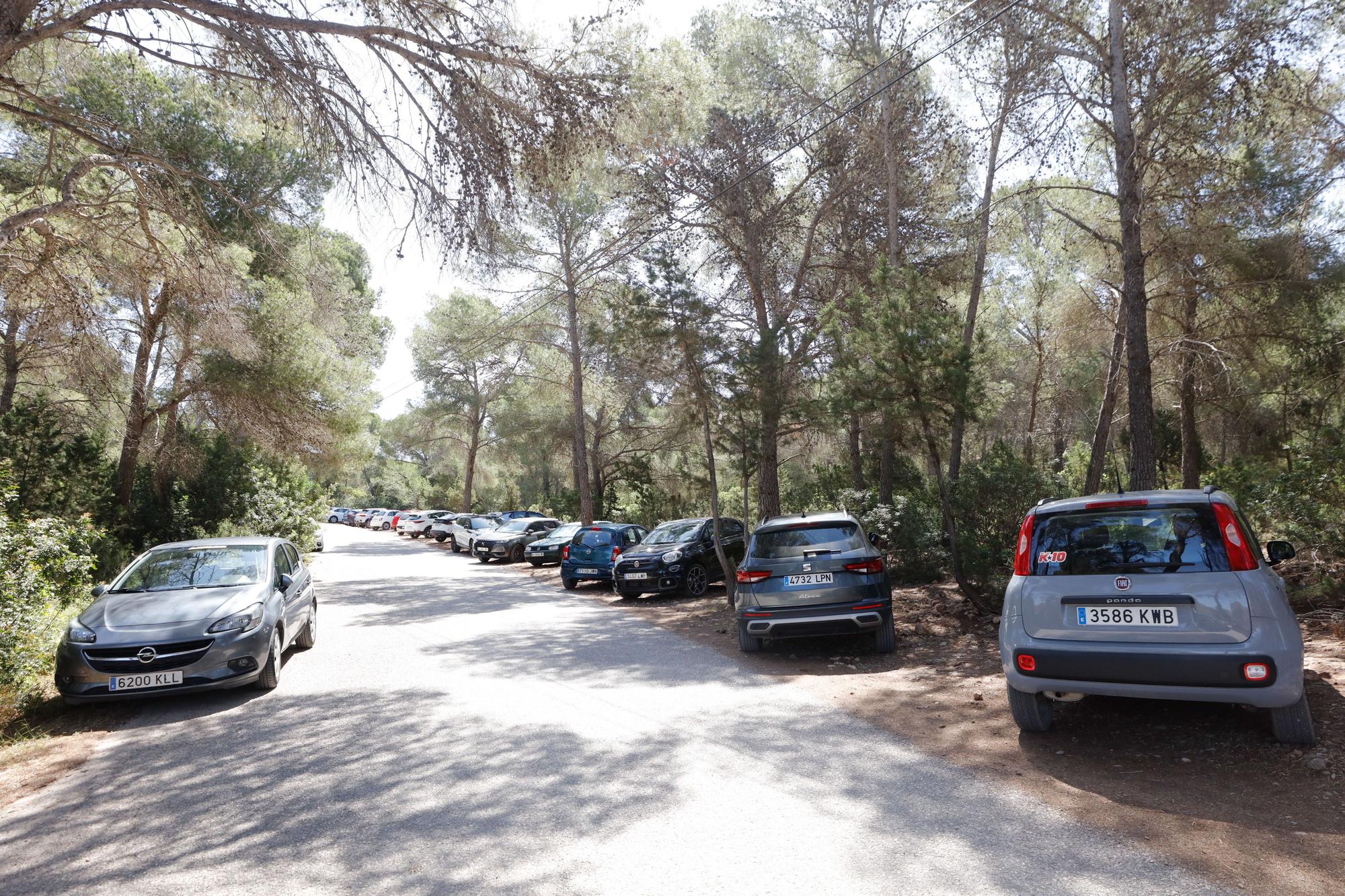 Primer día del servicio de autobús a Cala Salada