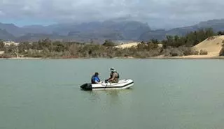 Una investigación científica analiza las especies invasoras de la Charca de Maspalomas