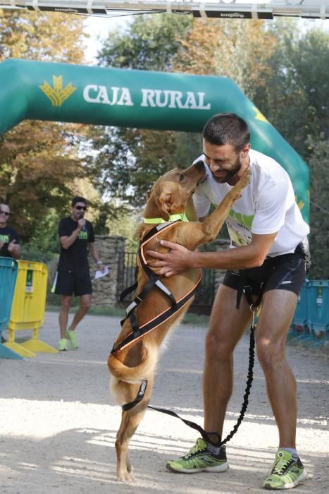 Can We Run Benavente 2018