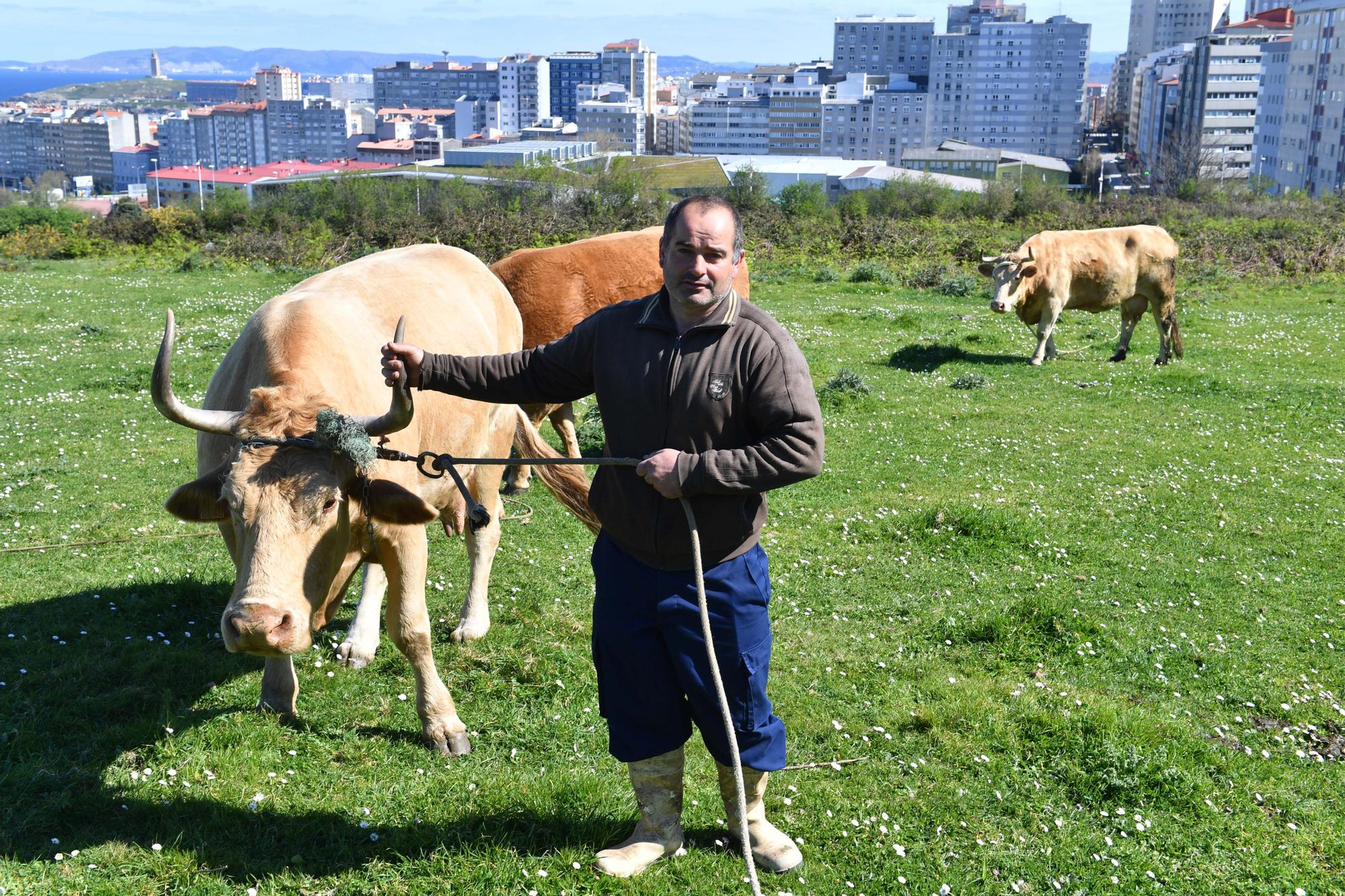 Luis Maceira y sus animales