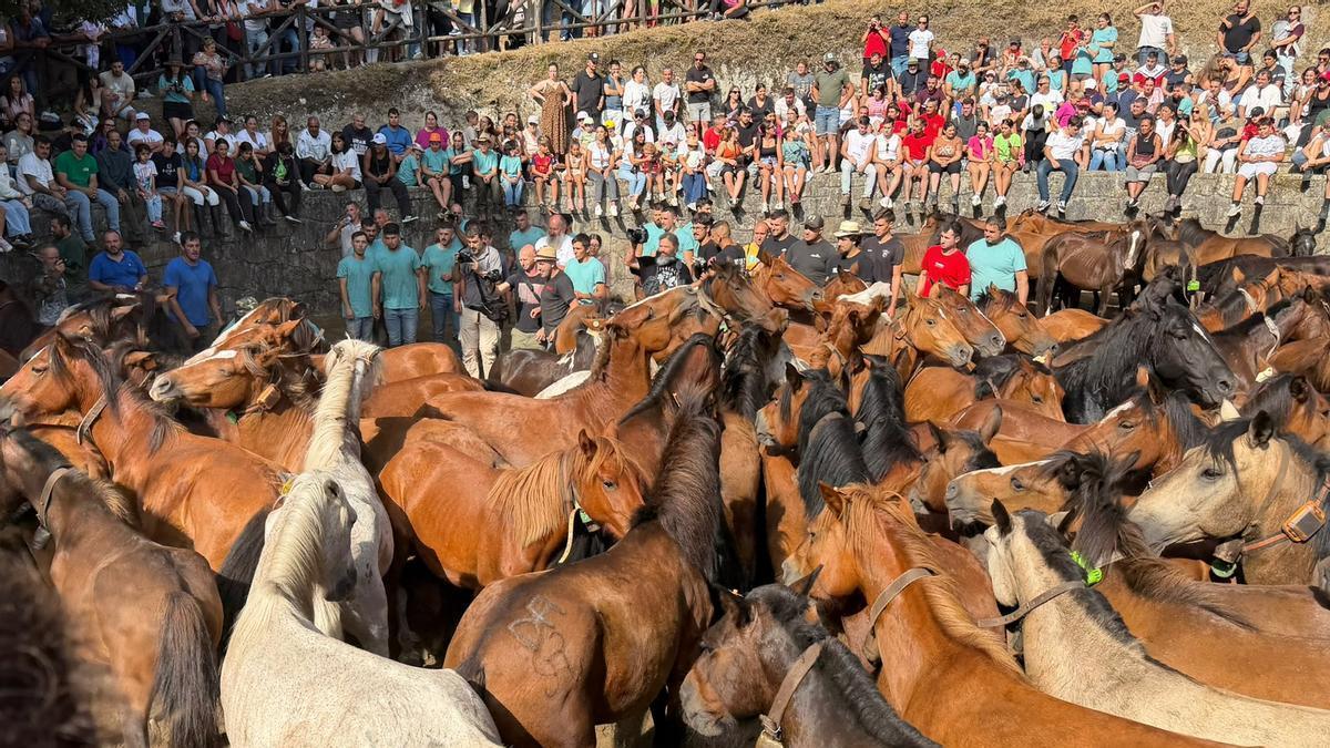 Cuspedriños escribe entre crines otro capítulo de su memoria ancestral