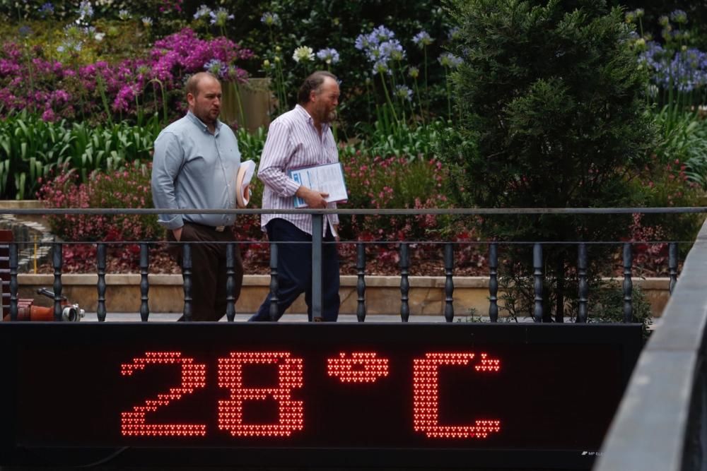 Ola de calor en Oviedo