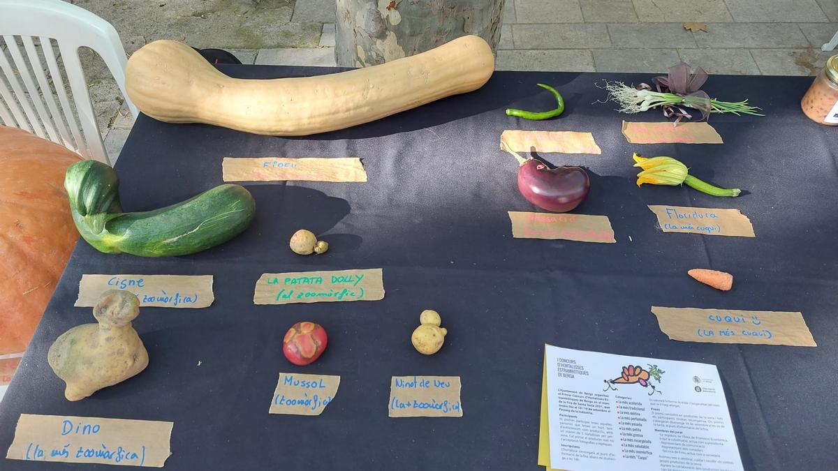 Algunes de les hortalisses que van participar al concurs de l&#039;any passat a Berga