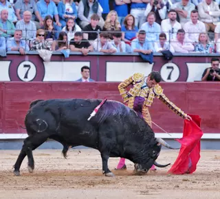 "Me hace mucha ilusión torear en Zamora; es un cartel muy bonito"