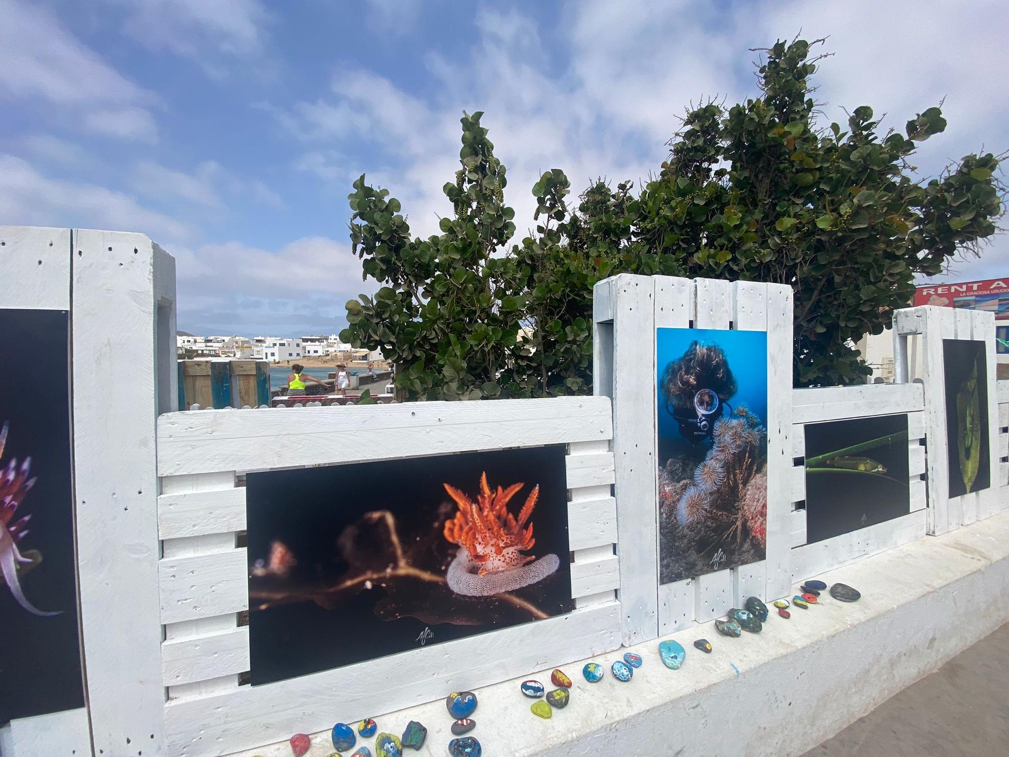 Exposición La Graciosa bajo el mar