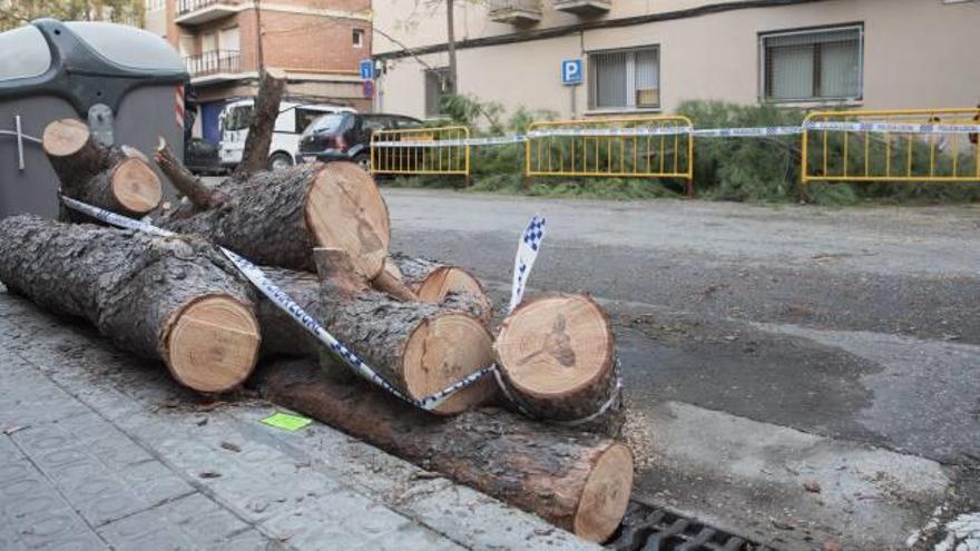 Va caldre més d&#039;hora i mitja de feina per alliberar el pas