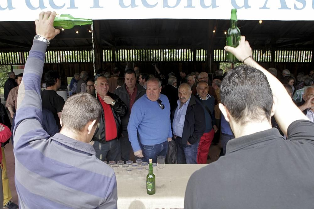 Presentación de la cosecha 2015 de sidra