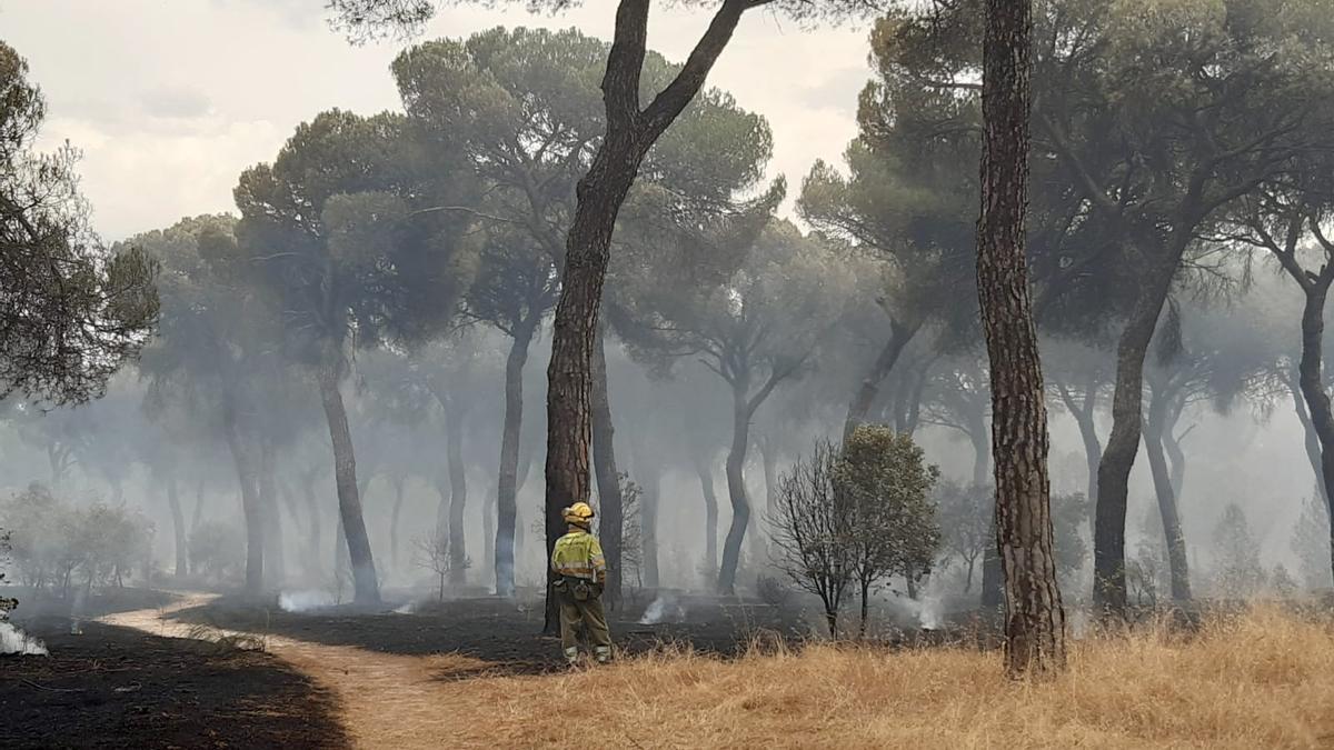 Un bombero trabaja en el fuego de El Tiemblo.