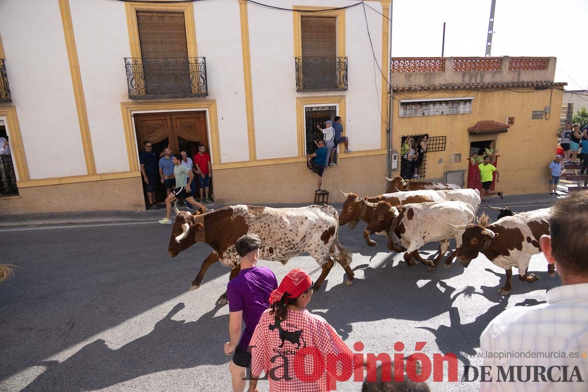 Quinto encierro Moratalla