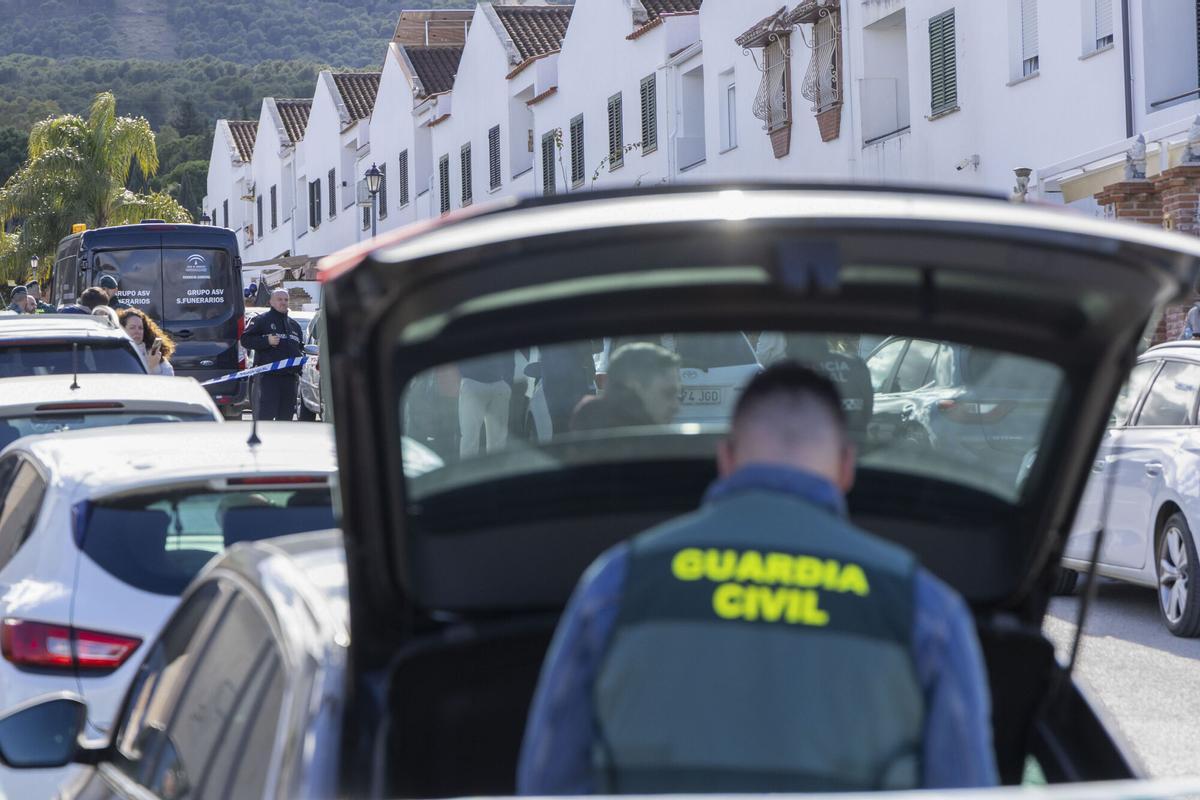 Una mujer de nacionalidad británica  ha sido asesinada esta mañana en su domicilio de Alhaurín el Grande.