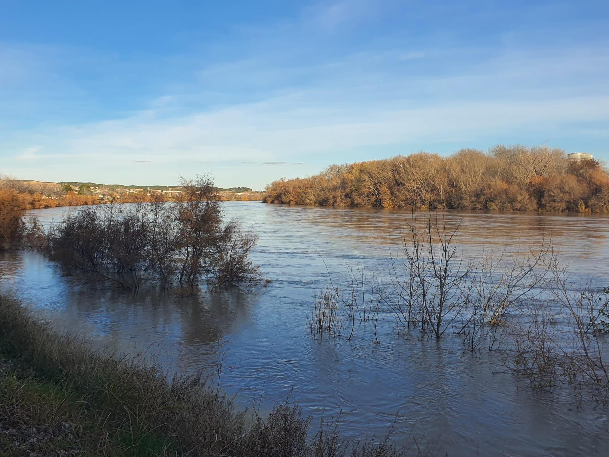 FOTOGALERÍA | El Ebro a su paso por Zaragoza -12 de diciembre de 2021