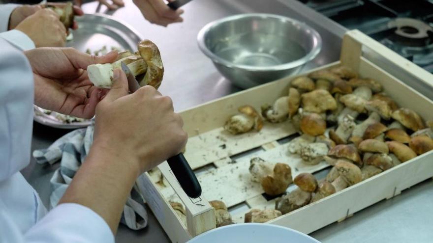 Preparación de un plato de setas.