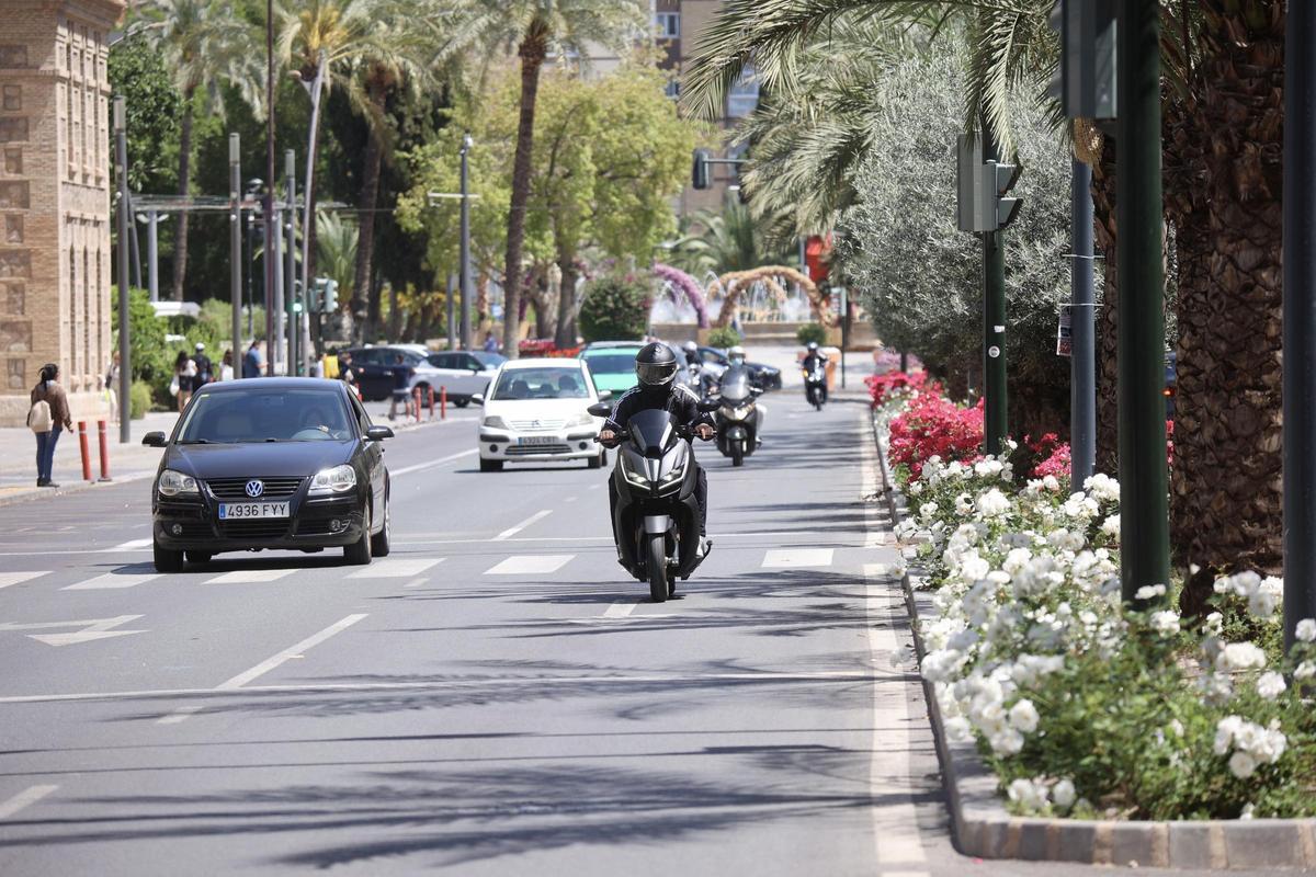 Rosales y palmeras en la avenida Primo de Rivera de Murcia.