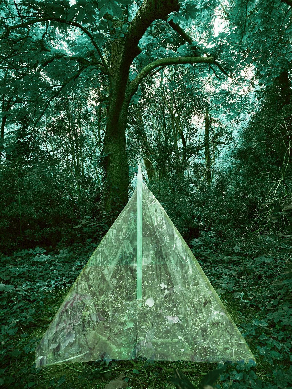 "Paisaje de resistencia, 38".