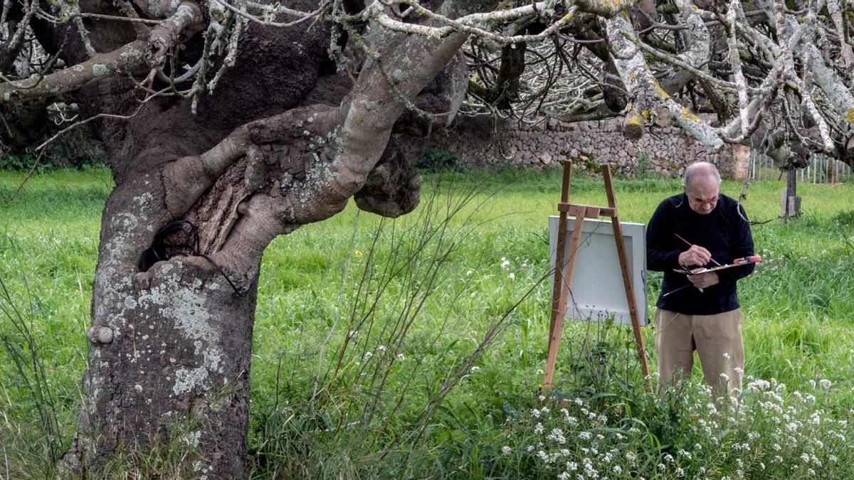 Andreu Maimó se inspira en la naturaleza para crear sus obras.