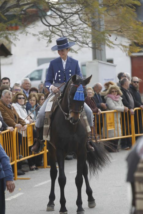 Benidición de animales en la Ermita de Vera y en la Punta