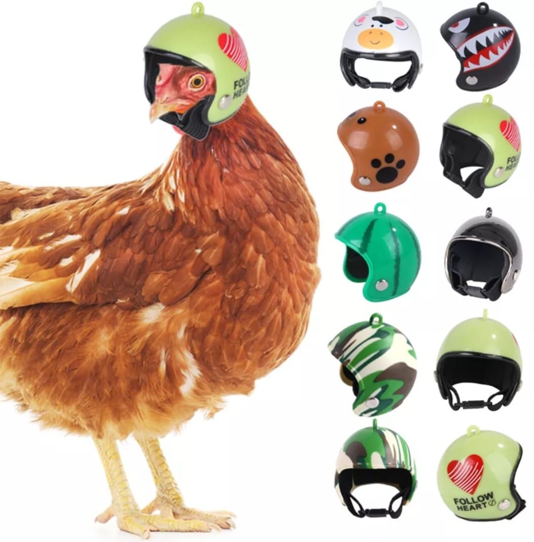 Mini cascos para gallinas.