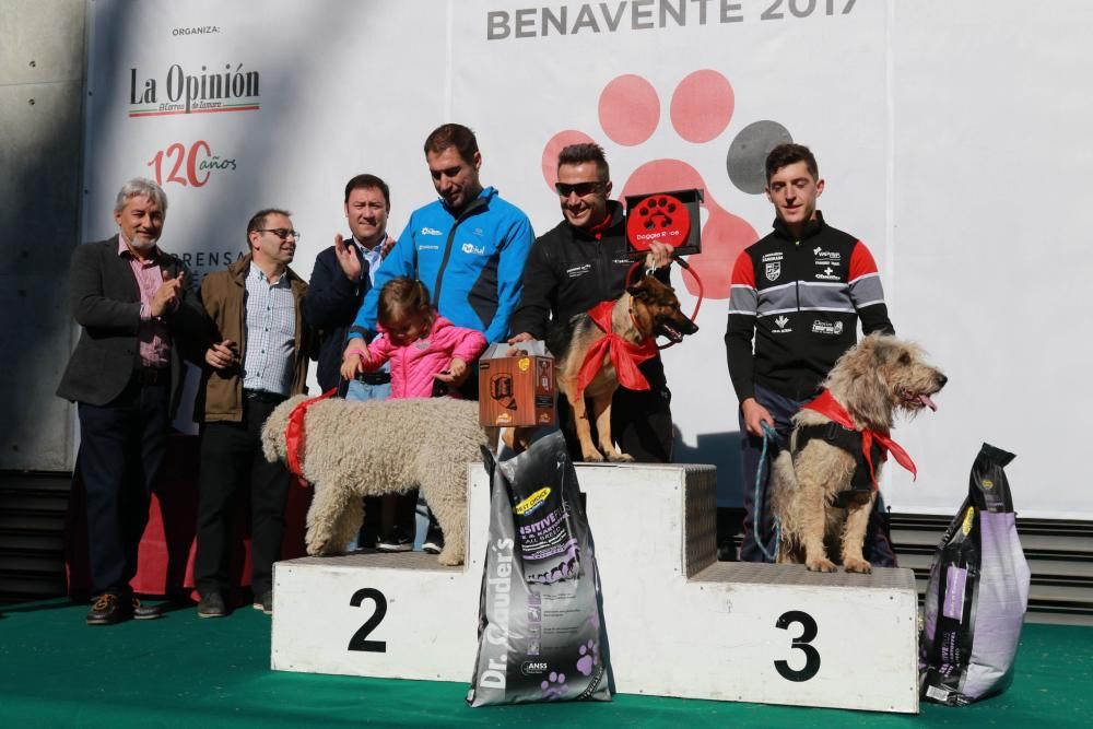 Así ha sido la Doggie Race en Benavente