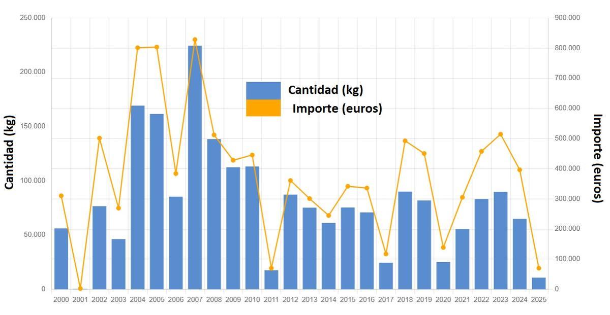 La evolución de las ventas de vieira en la lonja de Cambados en lo que va de siglo.